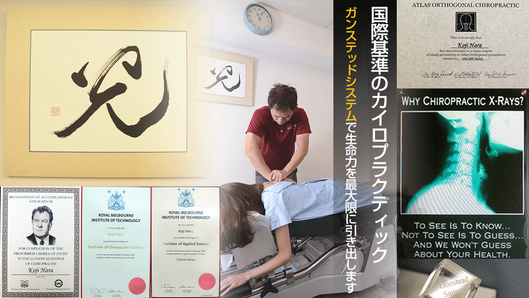 国際基準のカイロ