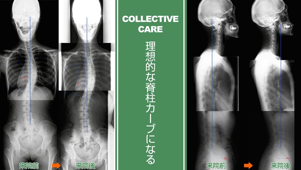 真の健康の追求