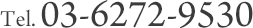 電話番号：03-6272-9530